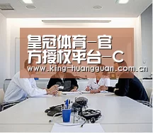研发能力标题二