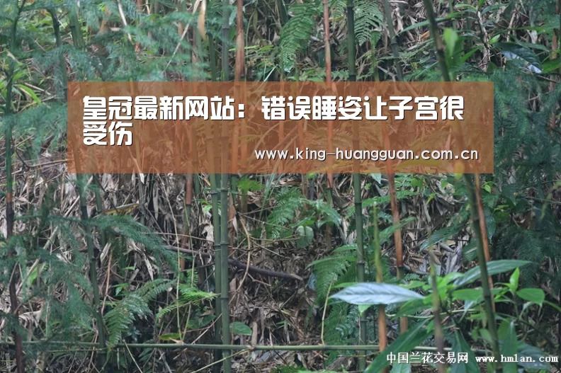 皇冠最新网站:错误睡姿让子宫很受伤(图1) 皇冠最新网站
